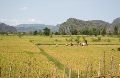 Ngành nông-lâm nghiệp Lào đặt mục tiêu đạt tốc độ tăng trưởng 3-4% vào năm 2020. Ảnhm minh họa: WordPress.com